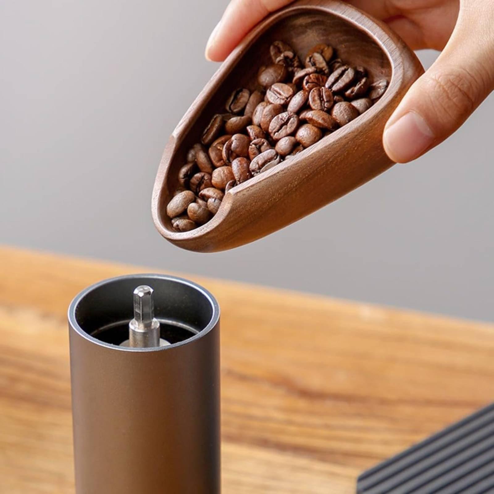 Bandeja de Medição de Café em  - Coffee Tea Bean Leaf avaliação e preço